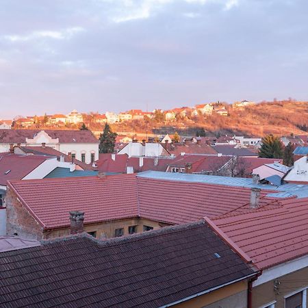 Tei Apartments Oradea Rum bild
