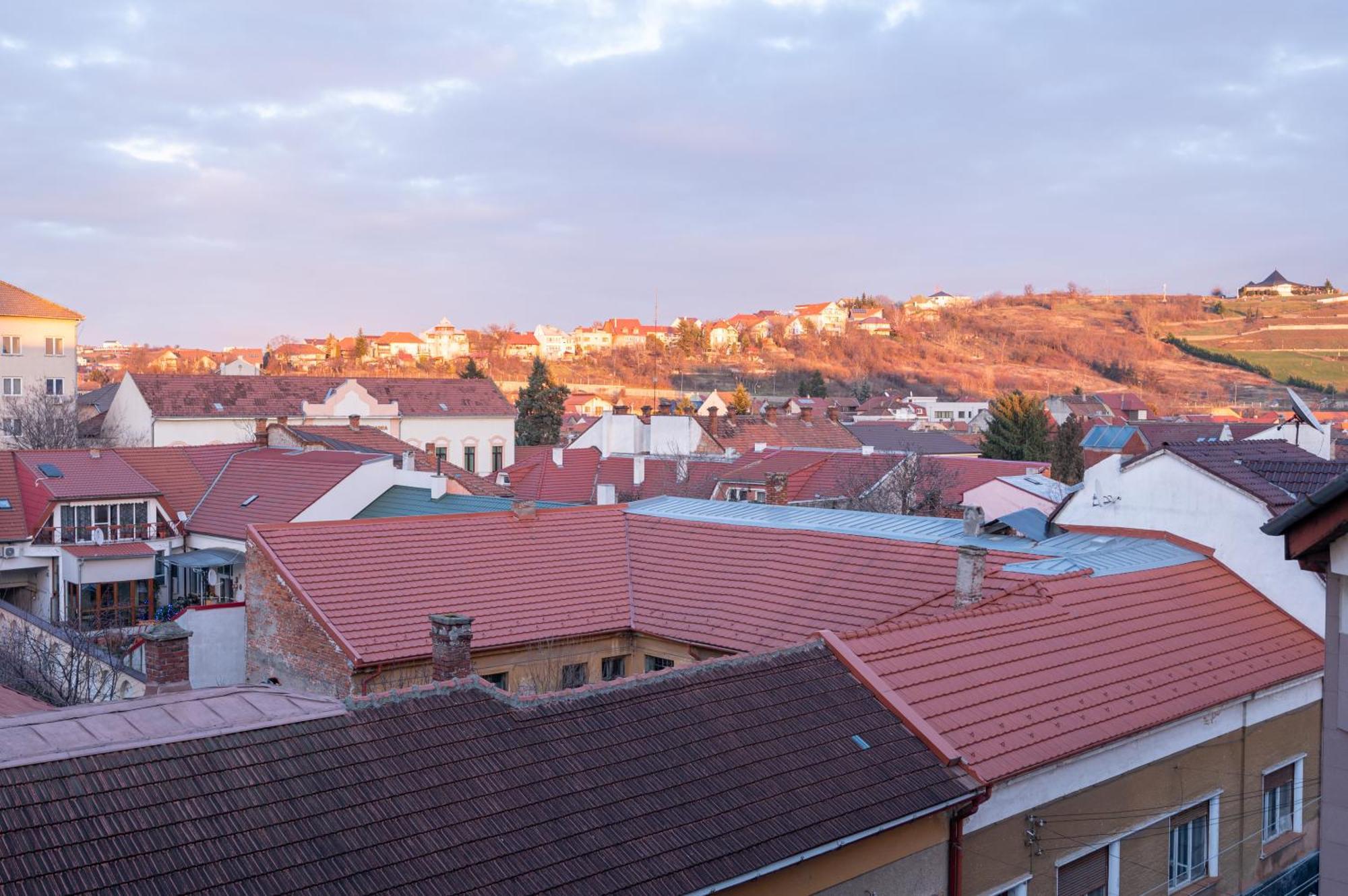 Tei Apartments Oradea Rum bild
